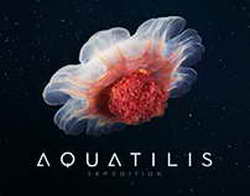 Игровые заведения в сети ggpokerok  выбор контента с надежными условиями