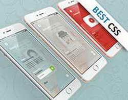 Что делать если iPhone завис во время переноса данных (ЭДЗК)