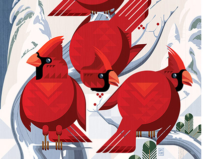 Канадские дома - строительство