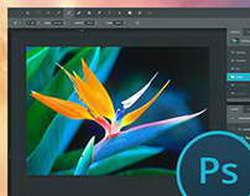 Первые впечатления о Apple Vision Pro