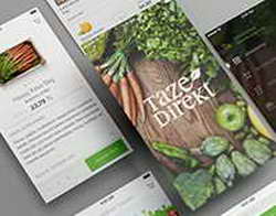 В ряде регионов РФ доставка с Wildberries стала платной