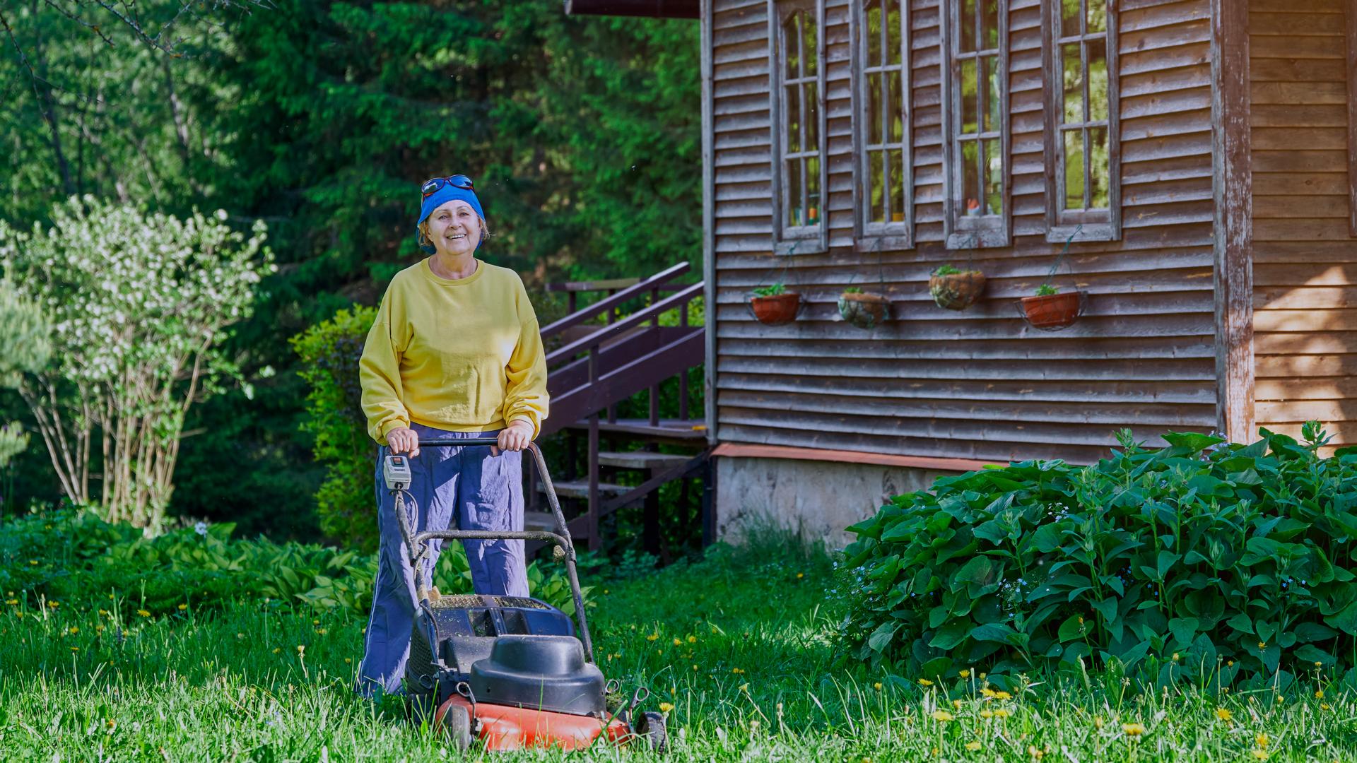 Дача ждет картинки